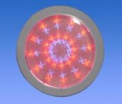 LED Ceiling Light