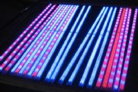 LED Grow Light