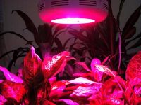 LED UFO Grow Light
