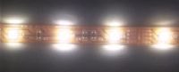 LED Flexible Strip( RGB/Single color)
