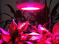 LED UFO Grow Light