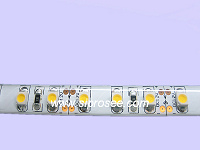 LED Single Color Flexible Strip( Water Proof)