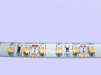 LED Single Color Flexible Strip( Water Proof)